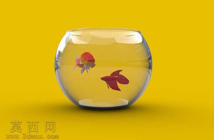 水族馆