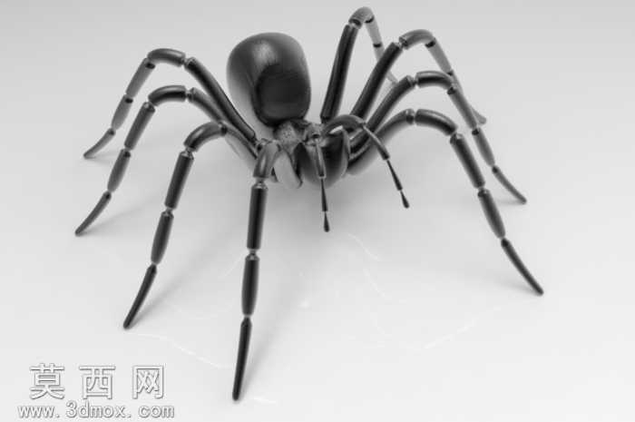 BorisTheSpider
