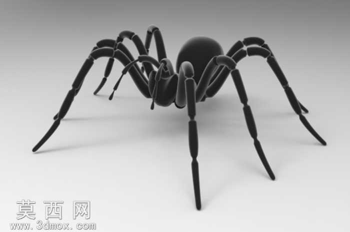 BorisTheSpider
