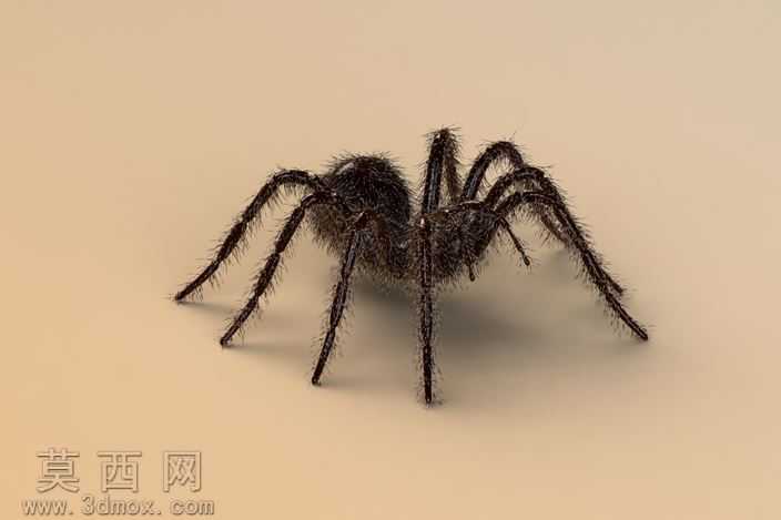 BorisTheSpider
