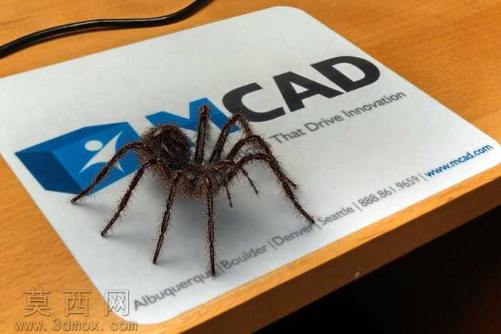 BorisTheSpider
