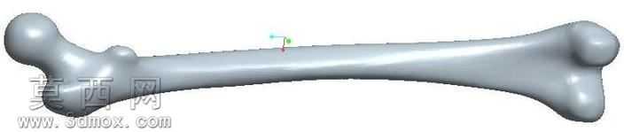 Femur_3D_Model