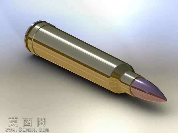 300WinMag墨盒
