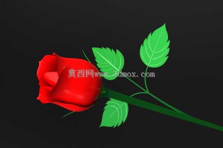 玫瑰