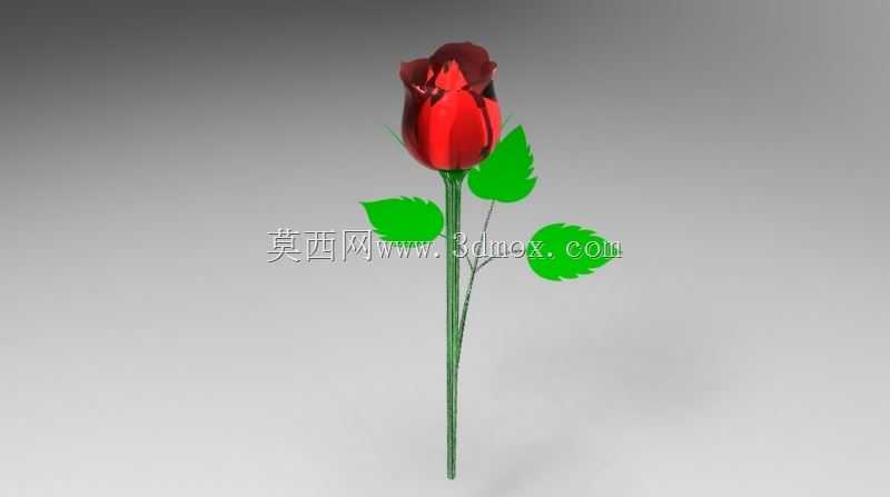 玫瑰