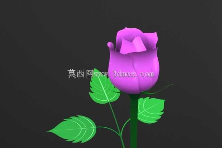 玫瑰