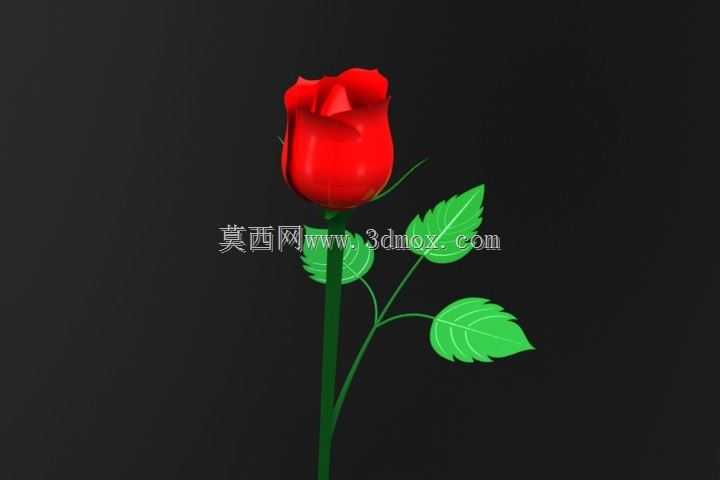 玫瑰
