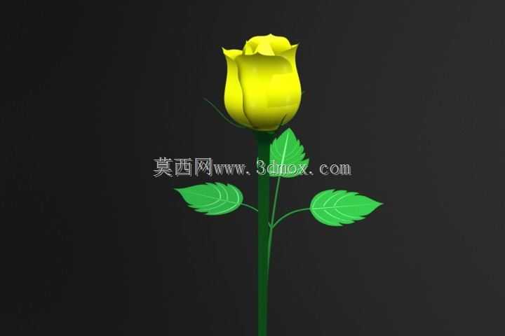 玫瑰