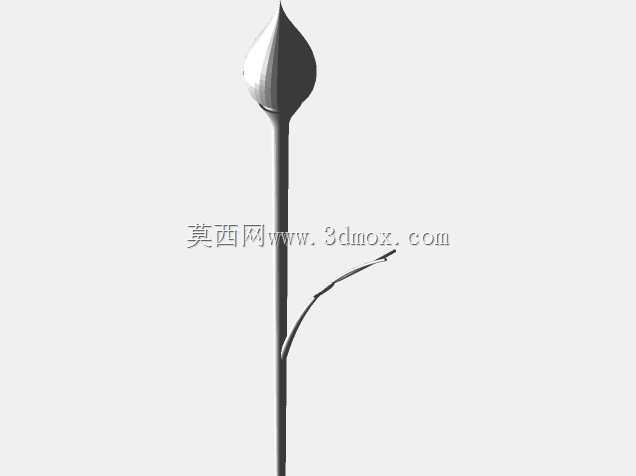 玫瑰