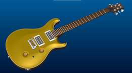 PRS Custom 24��Custo