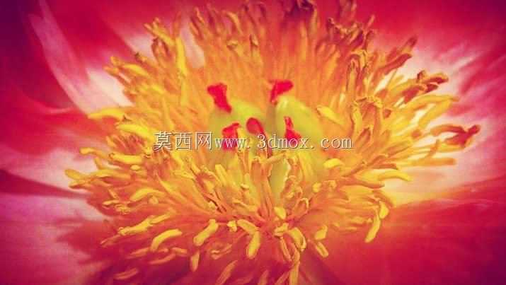 ����ɿ�ֳ��صķ���2