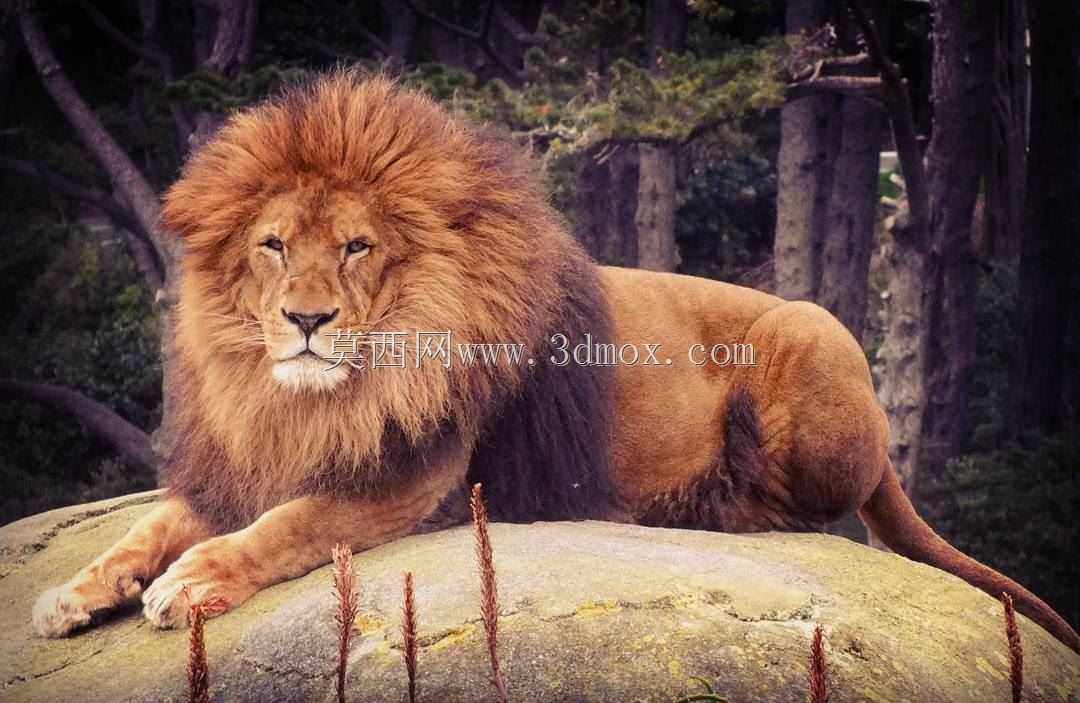 ����ɿ�ֳ��صķ���2