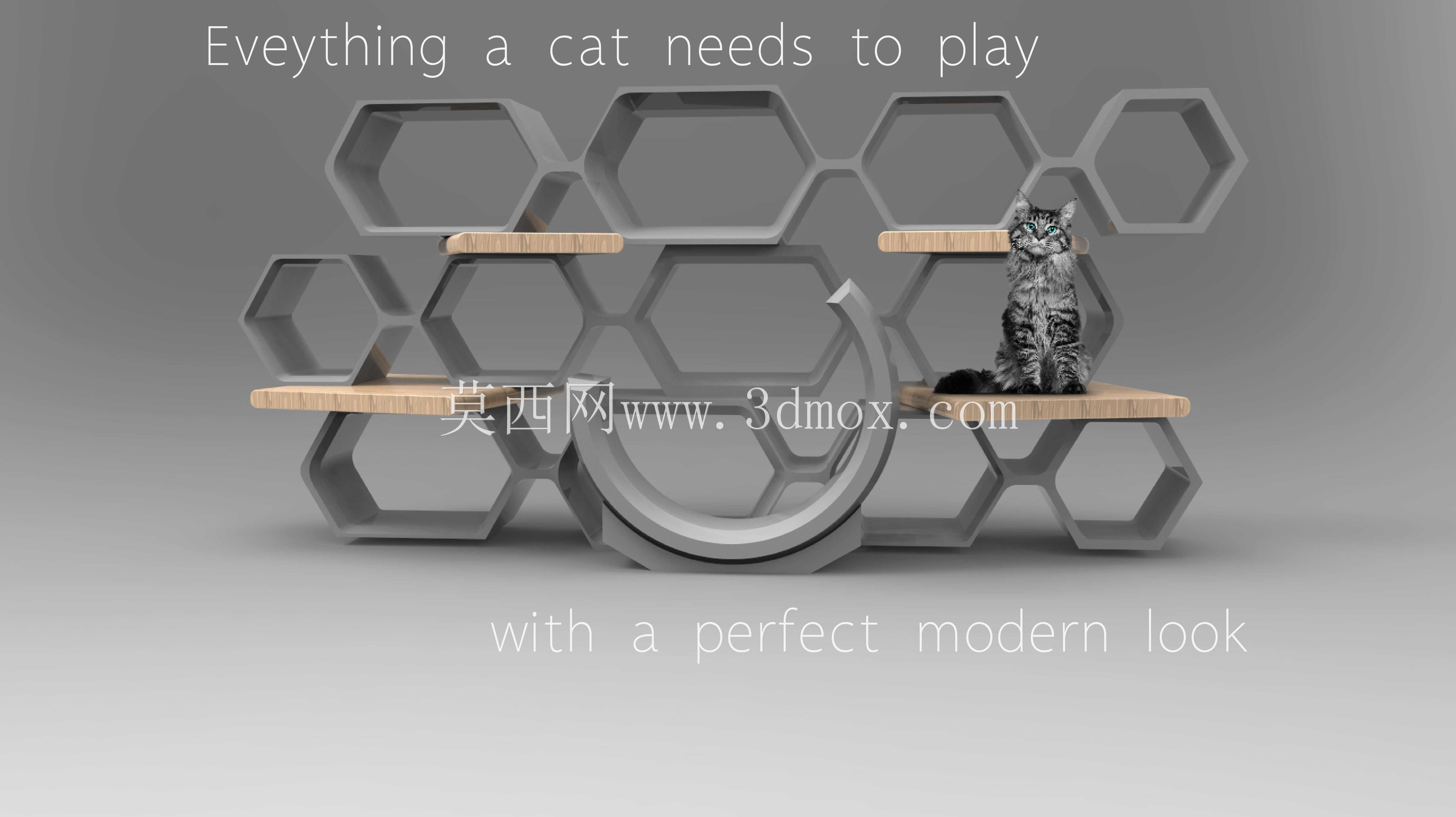 \“六只猫”-一个猫树书架