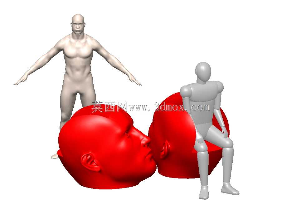 ͷ������