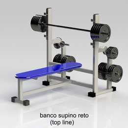 台式压力机(banco de supino reto)