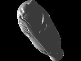 ����÷��3000