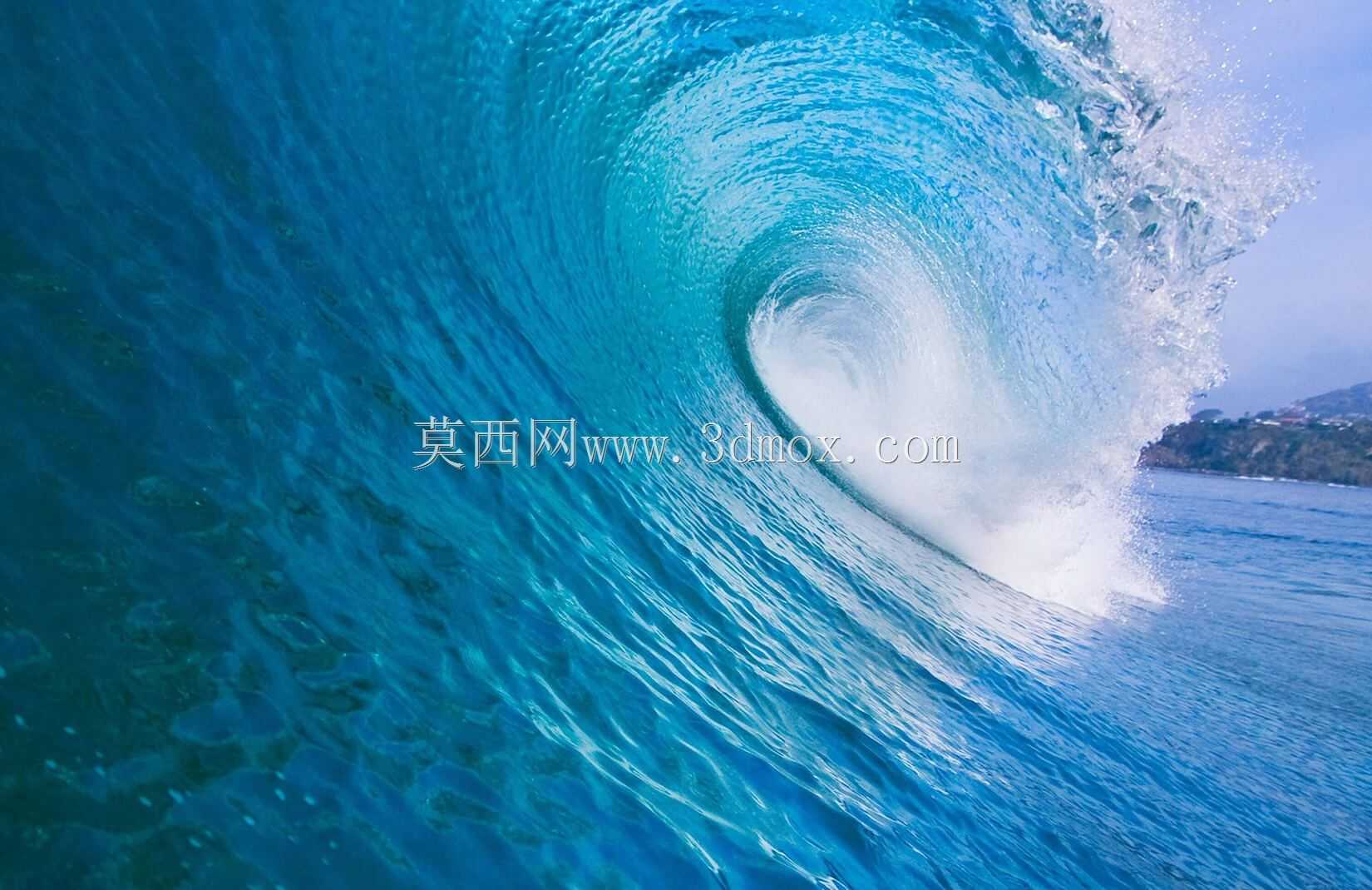 带Sidewinder II卡车的长板\u0026 69mm扇形9轮