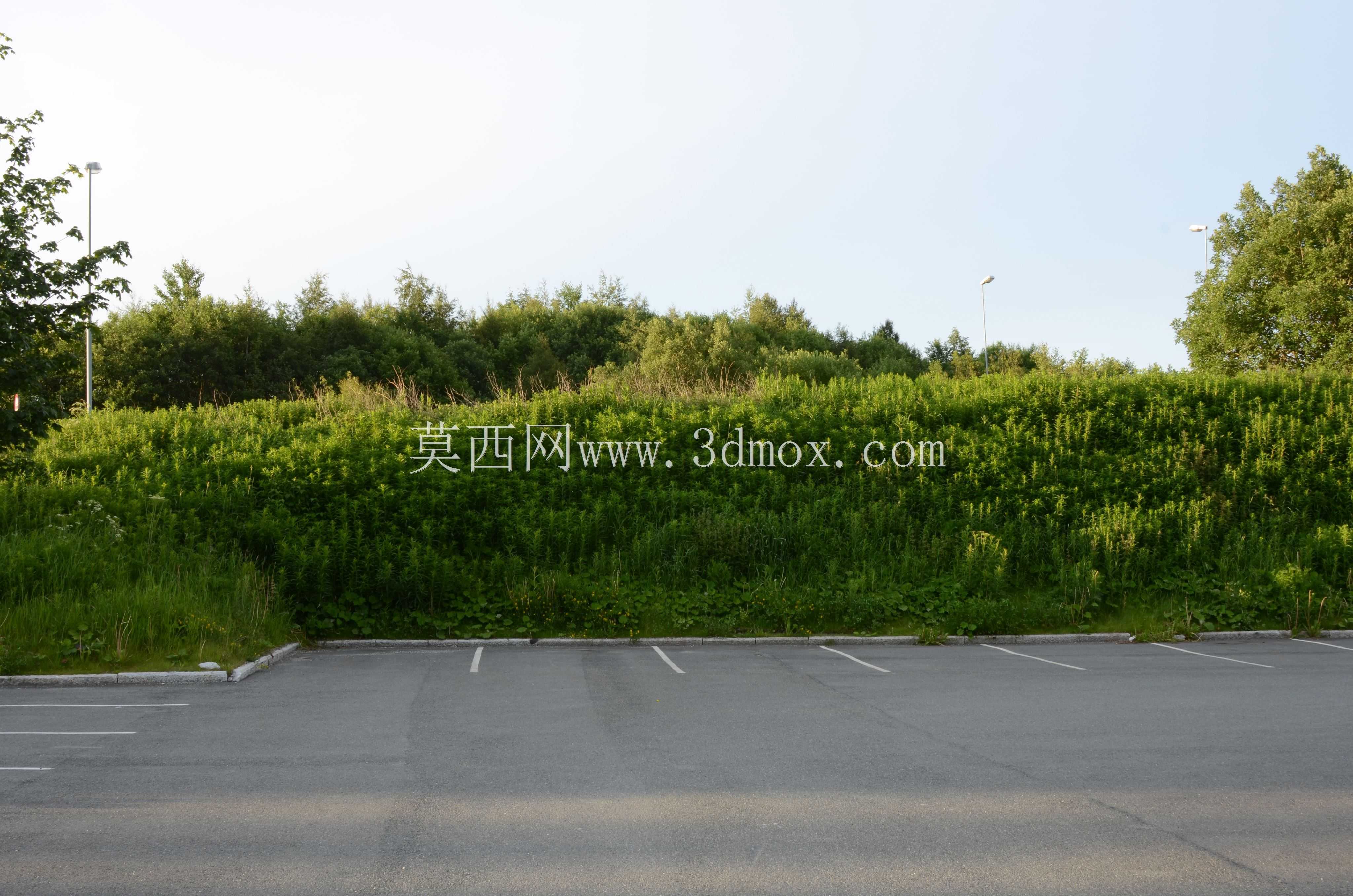 HDRi����