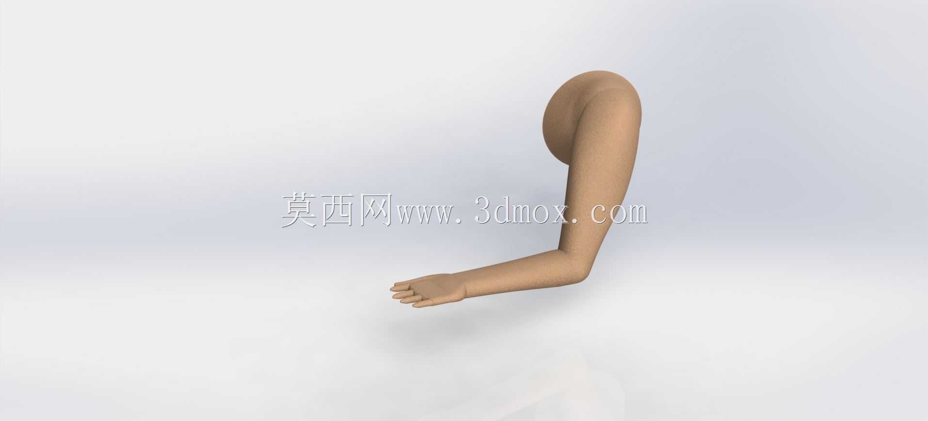 �ֱ�-��ģ��