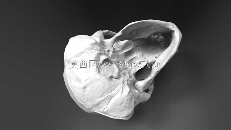 扫描