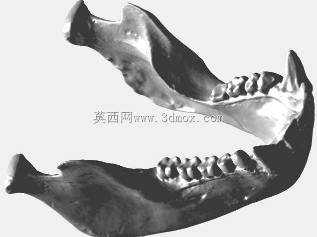 扫描
