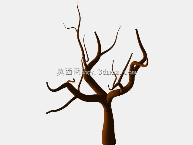 柴郡树