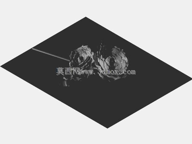 玫瑰
