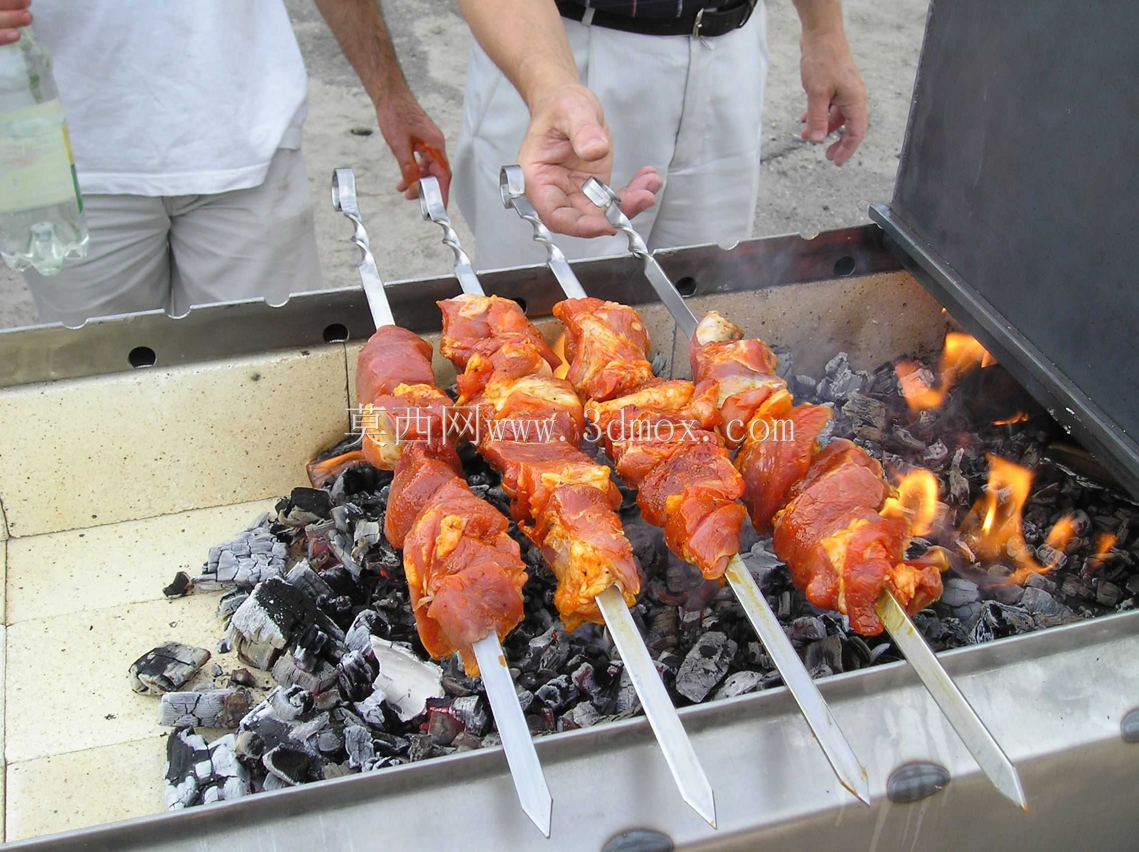 Mangal�����裩?�˹�����Petri?