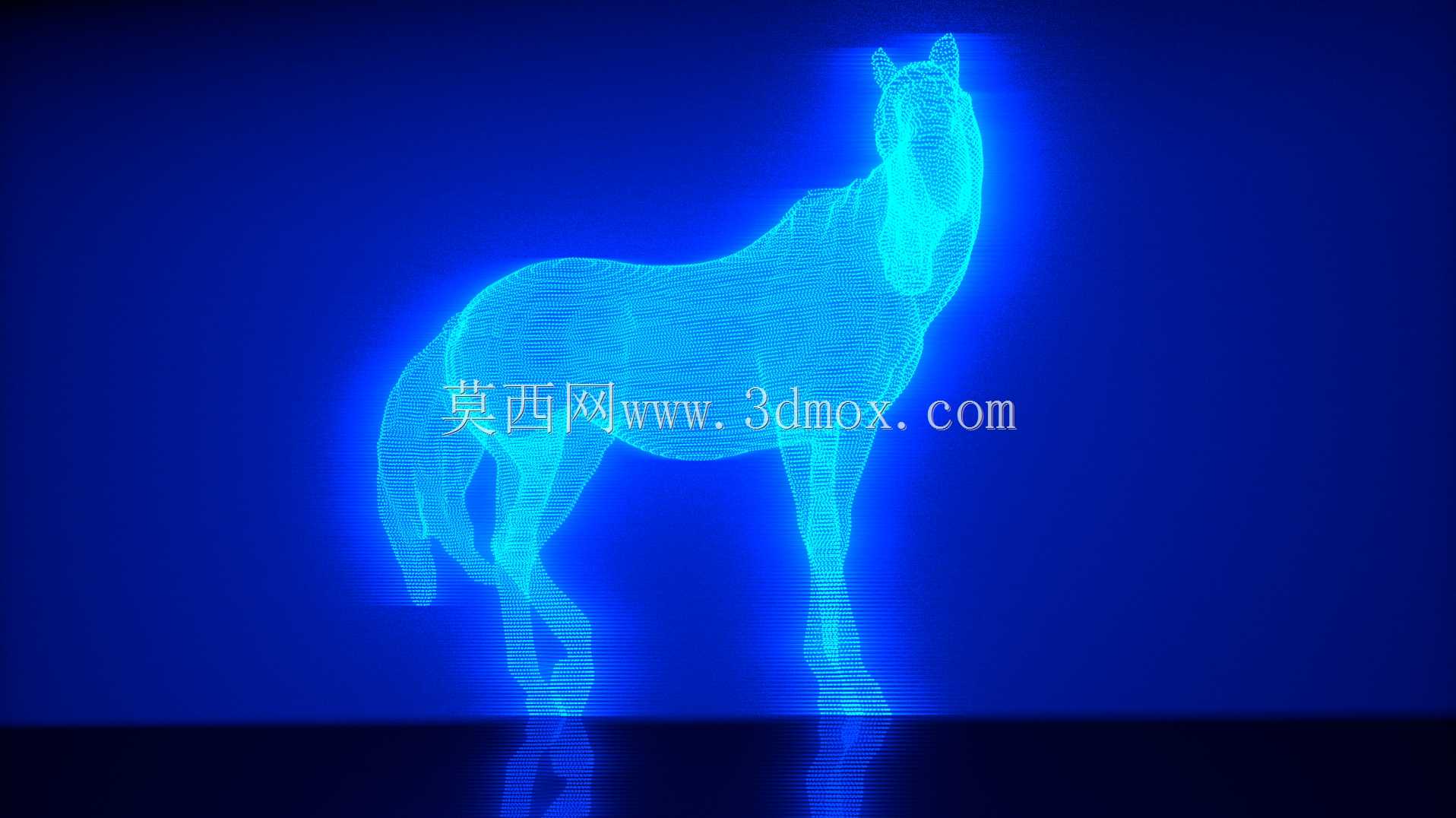 没有影子的马
