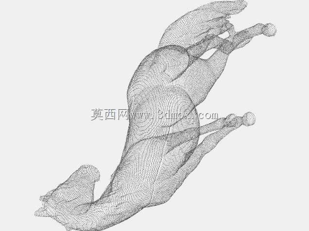 没有影子的马