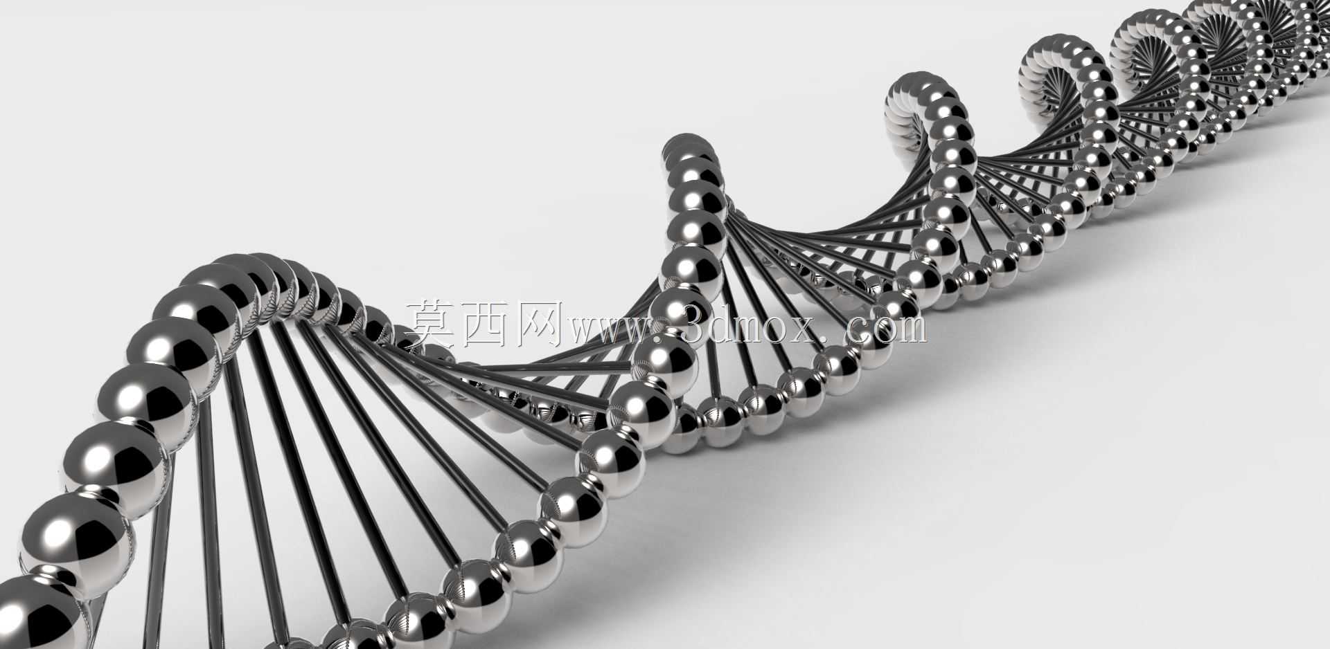 DNA