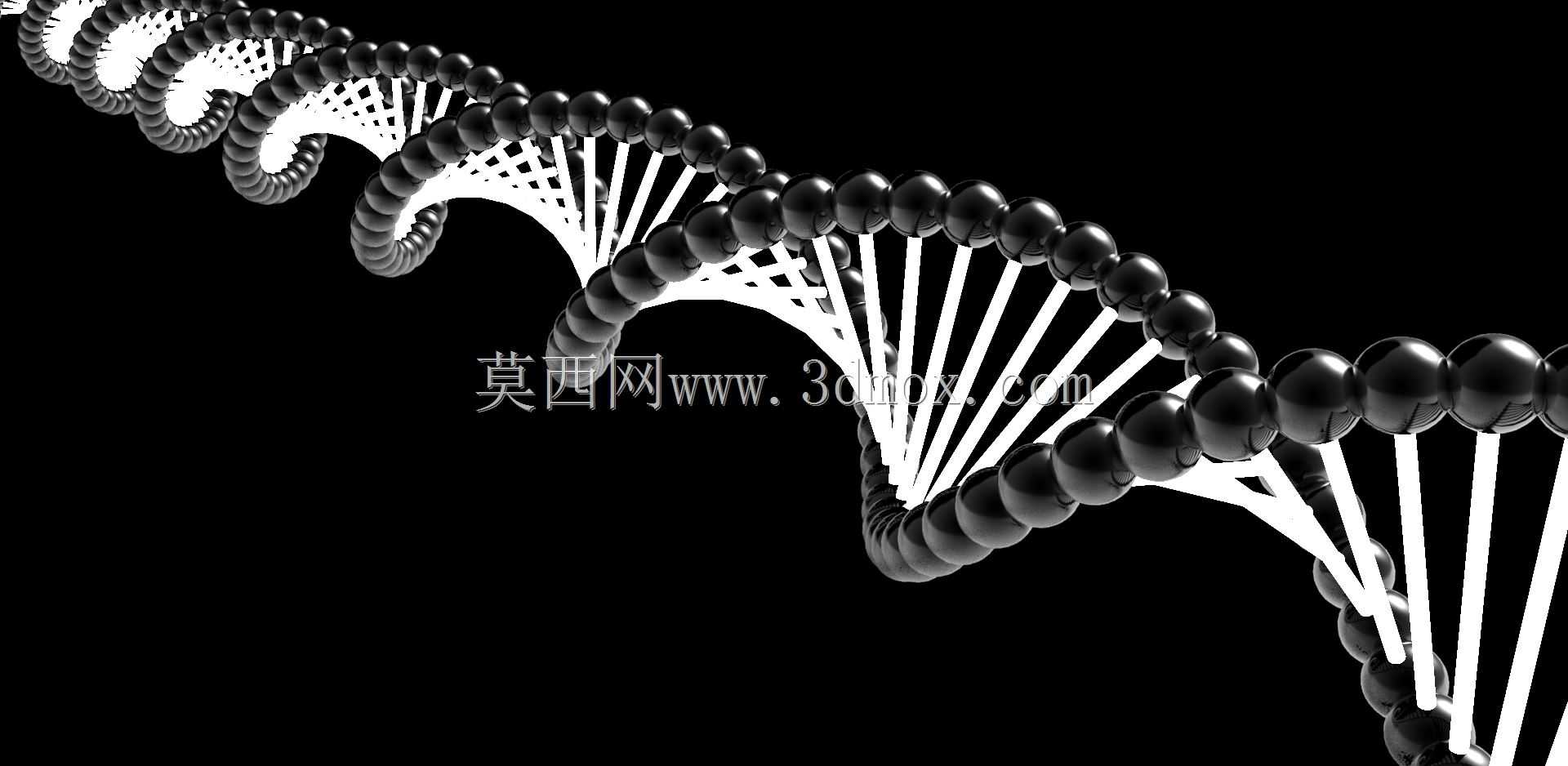 ����DNA