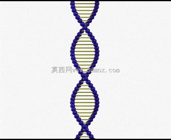 ����DNA