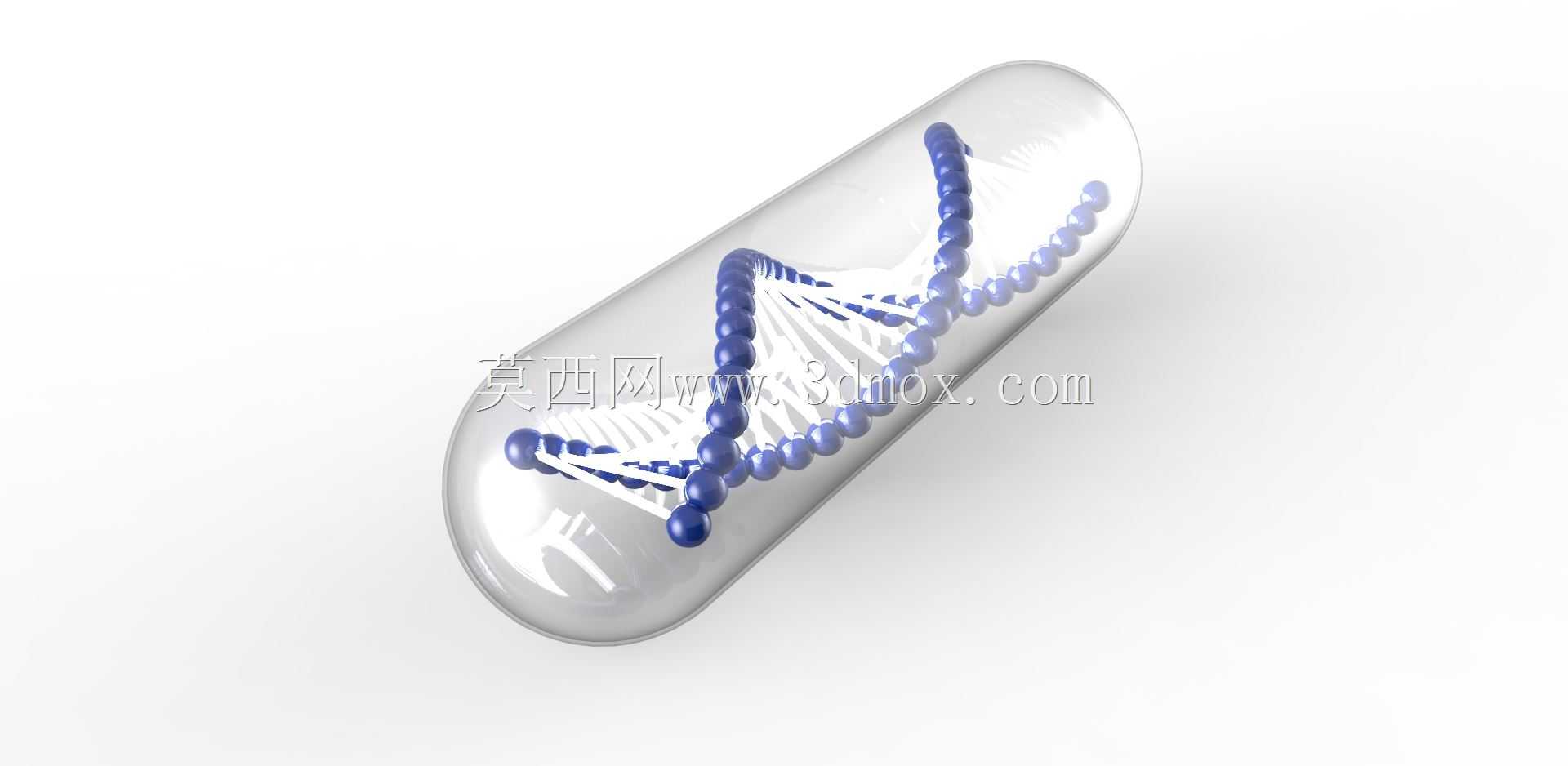 ����DNA