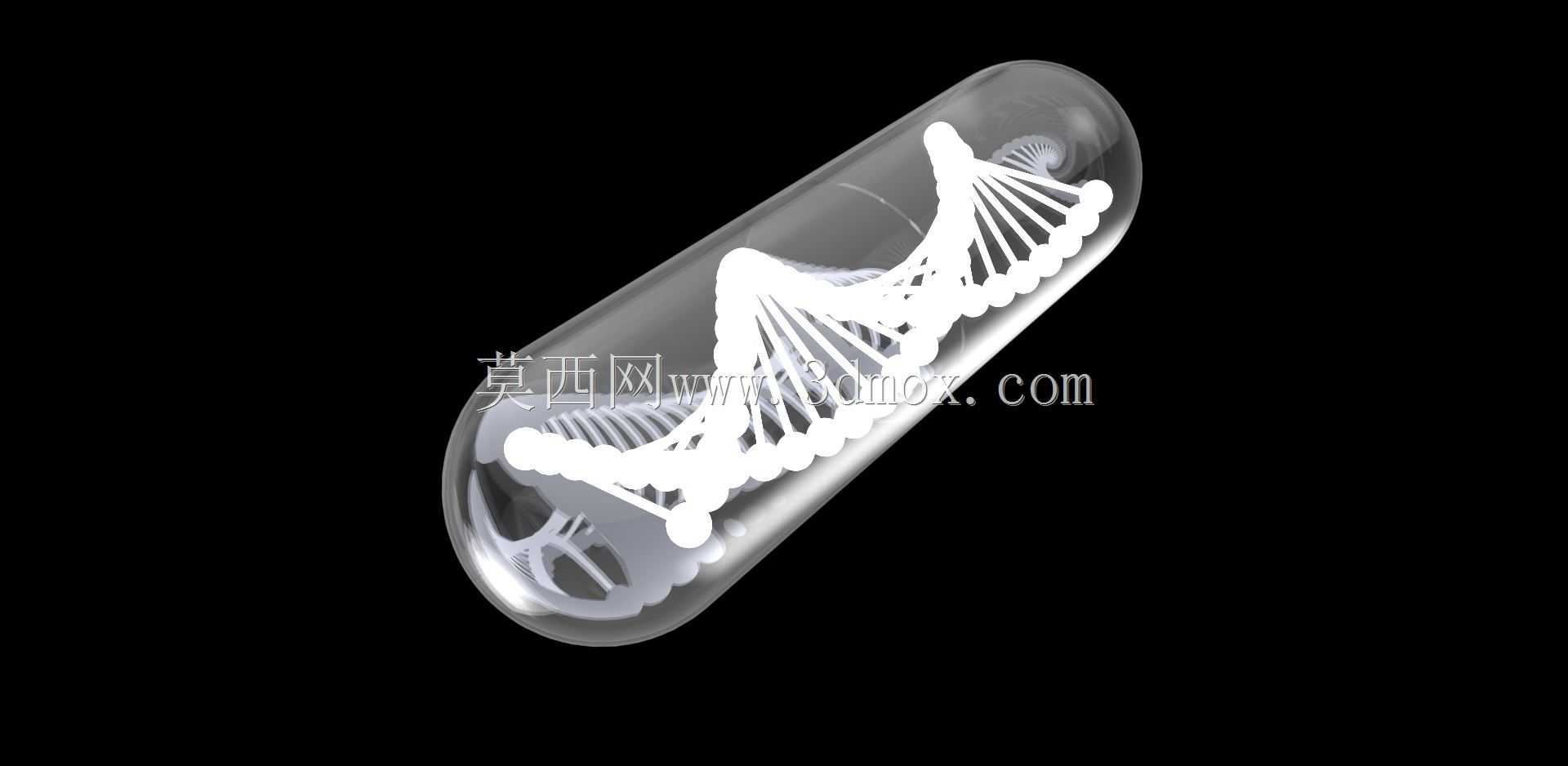 ����DNA