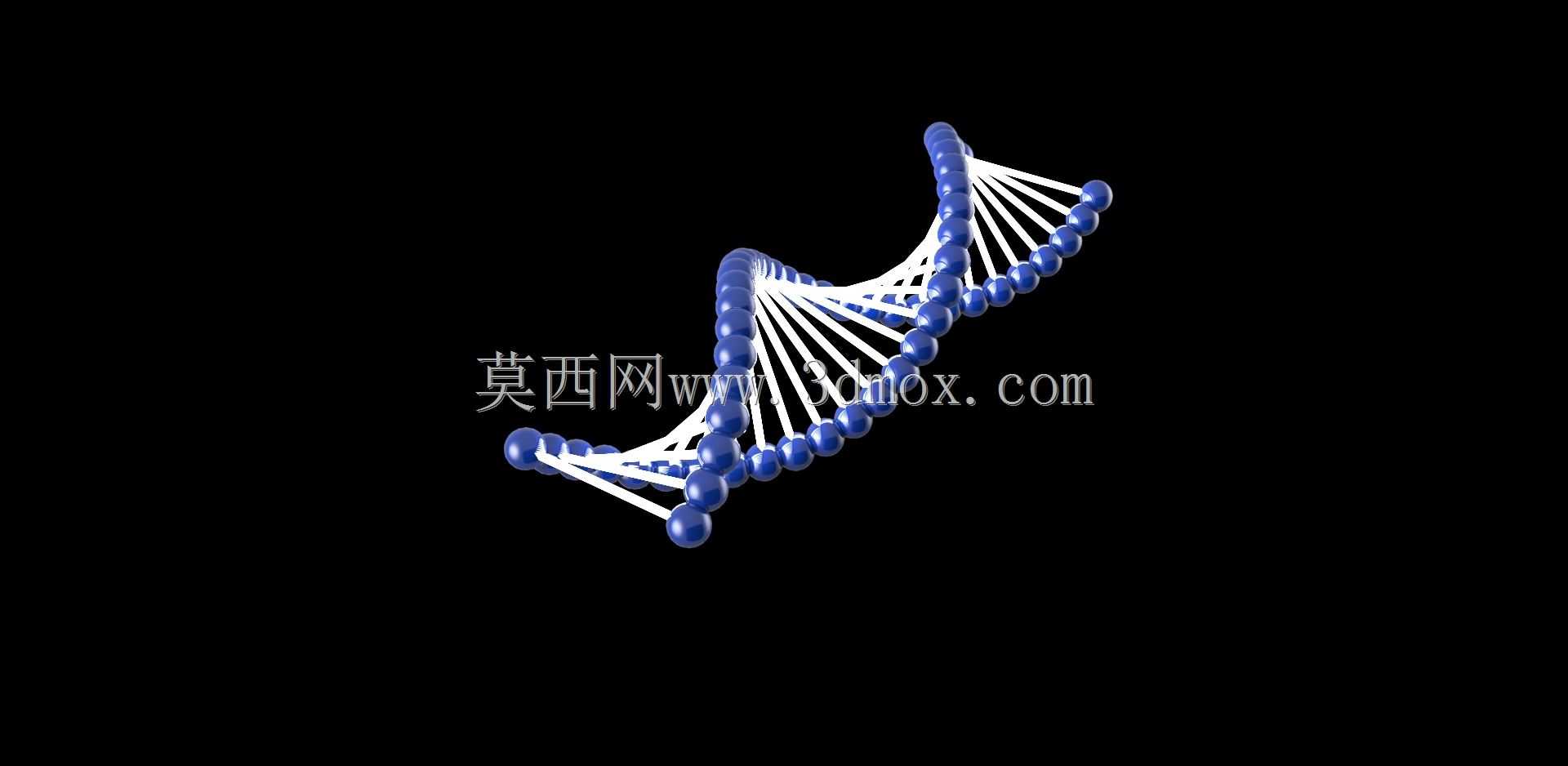 ����DNA
