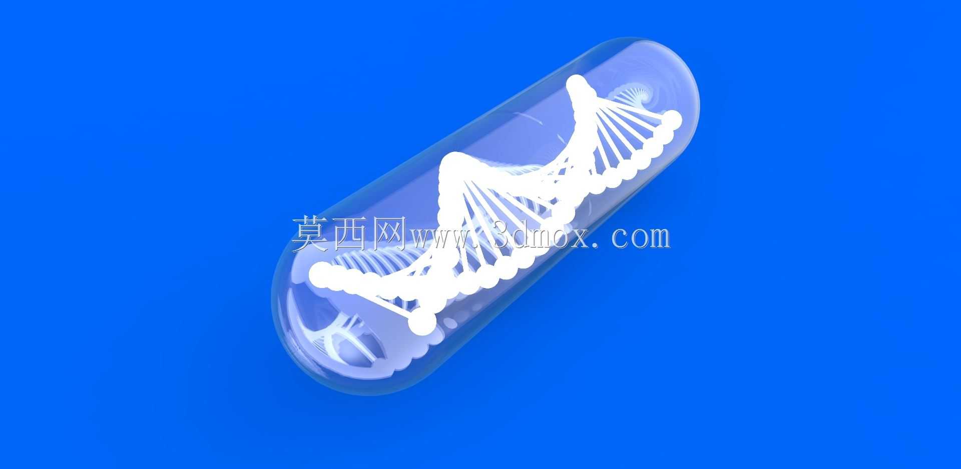 ����DNA