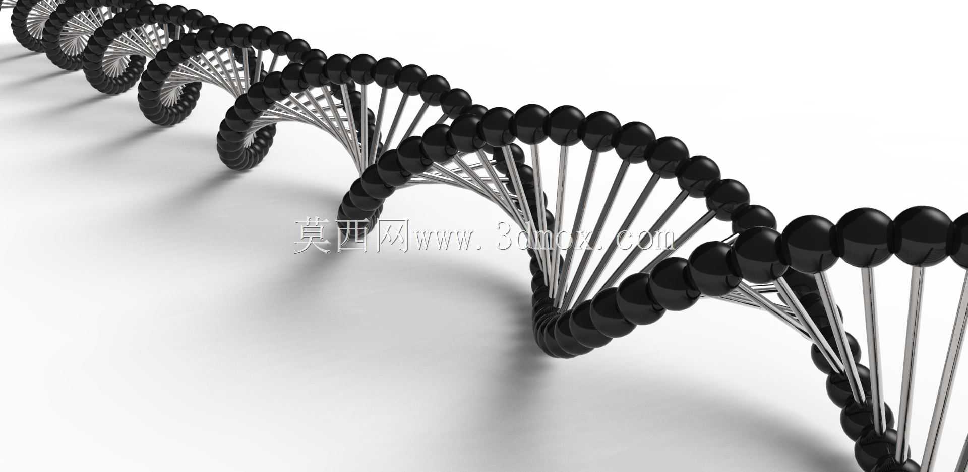 ����DNA