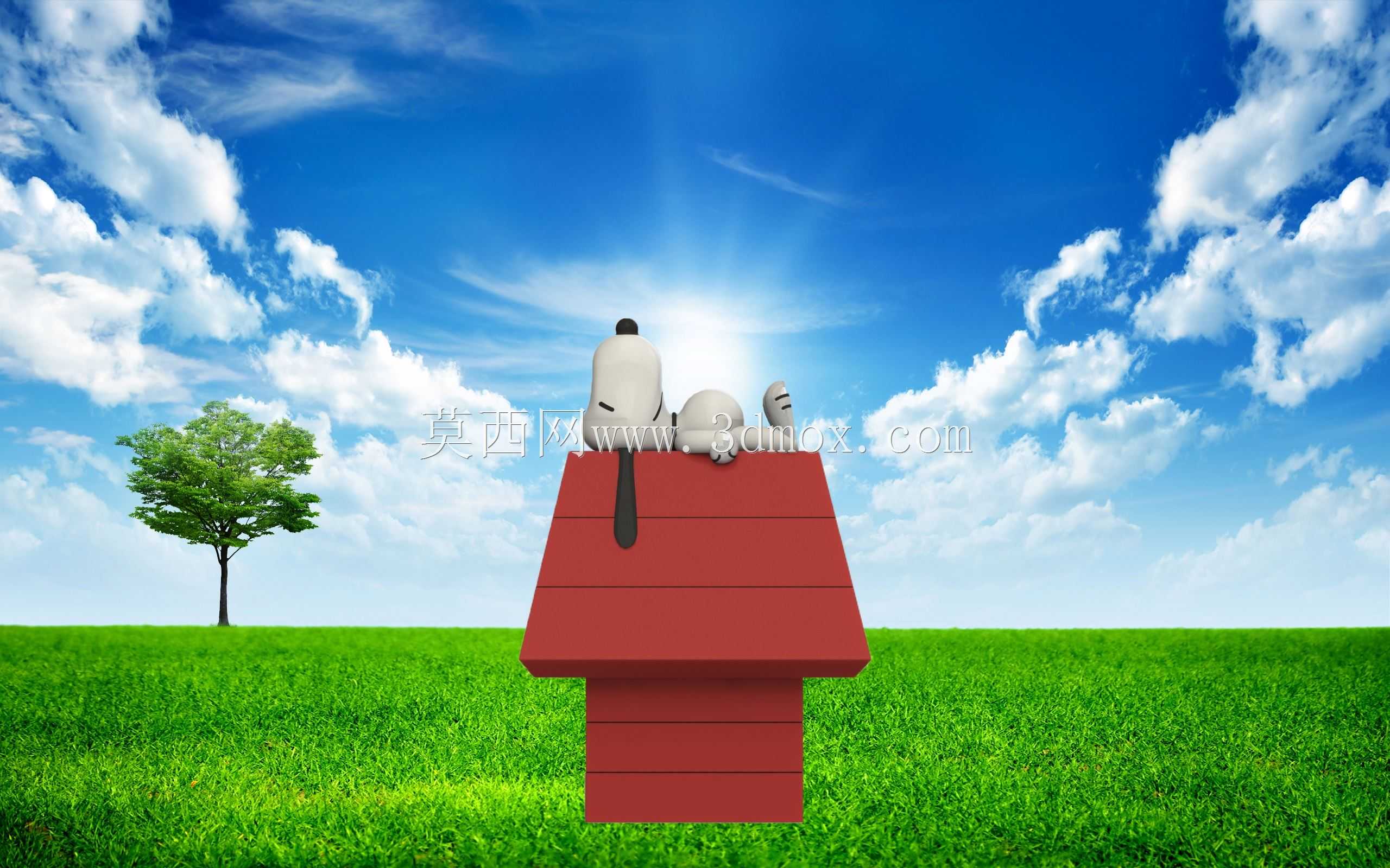 ʷŬ��