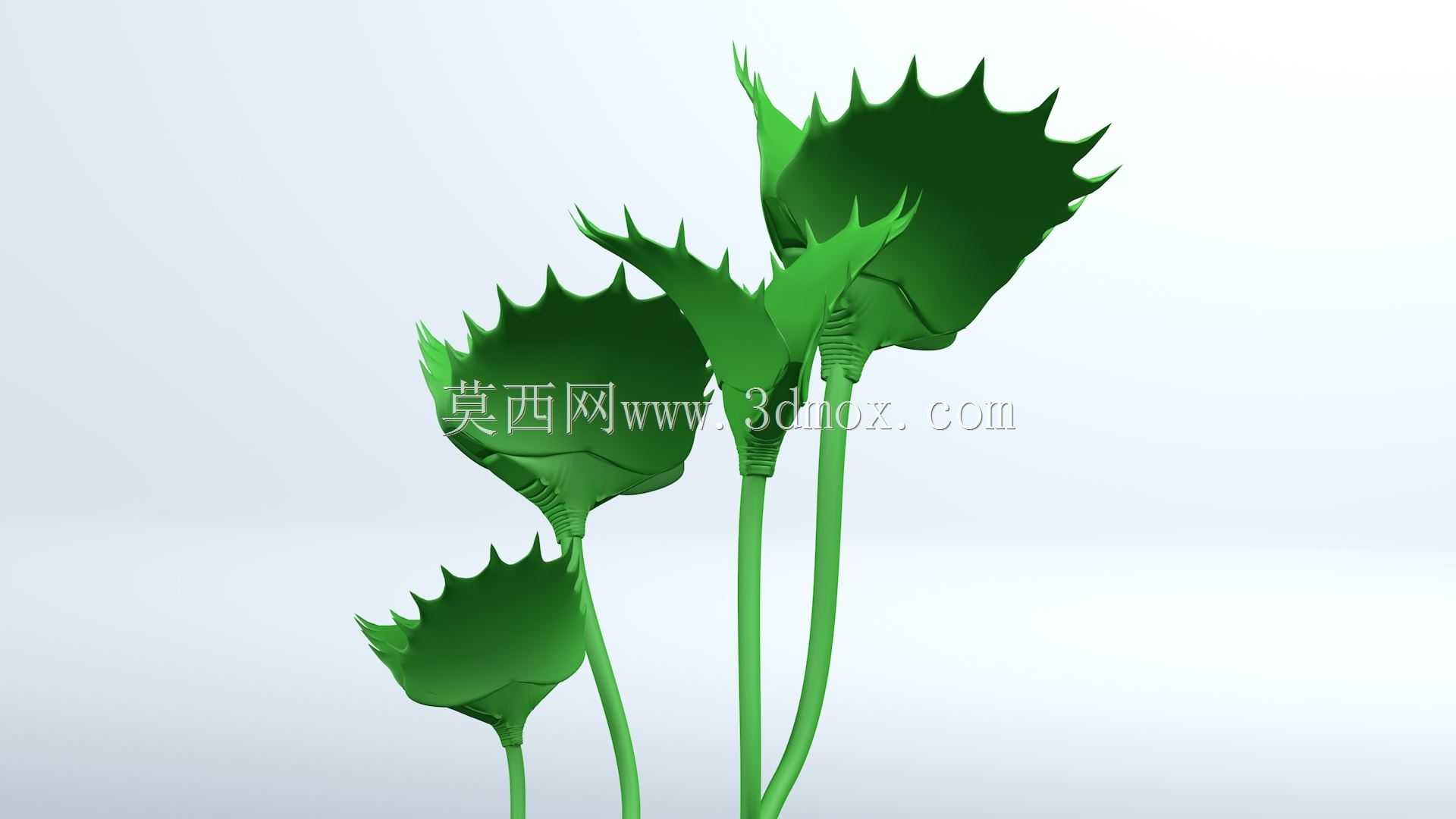 金星捕蝇器-食肉植物