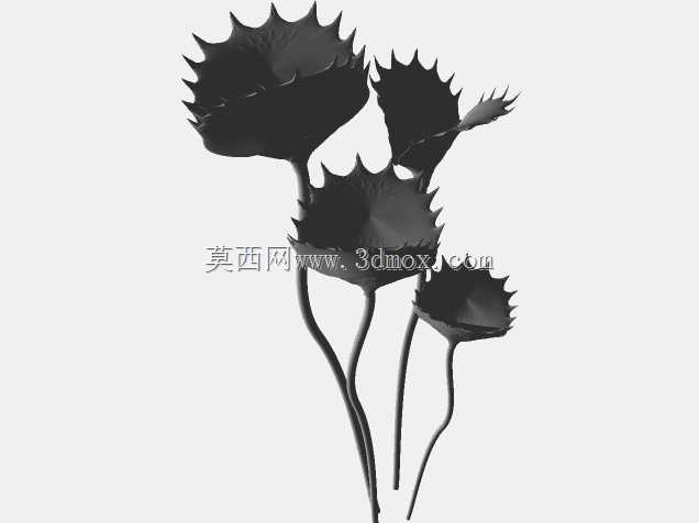 金星捕蝇器-食肉植物