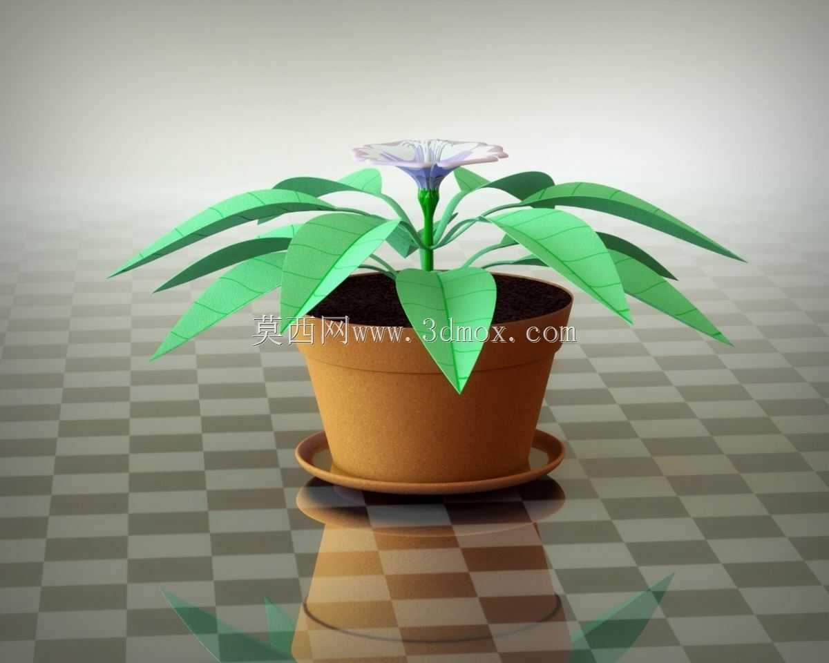 ��