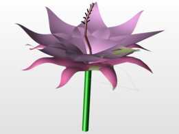 花