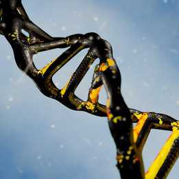 ˫����DNA���ӽṹ��