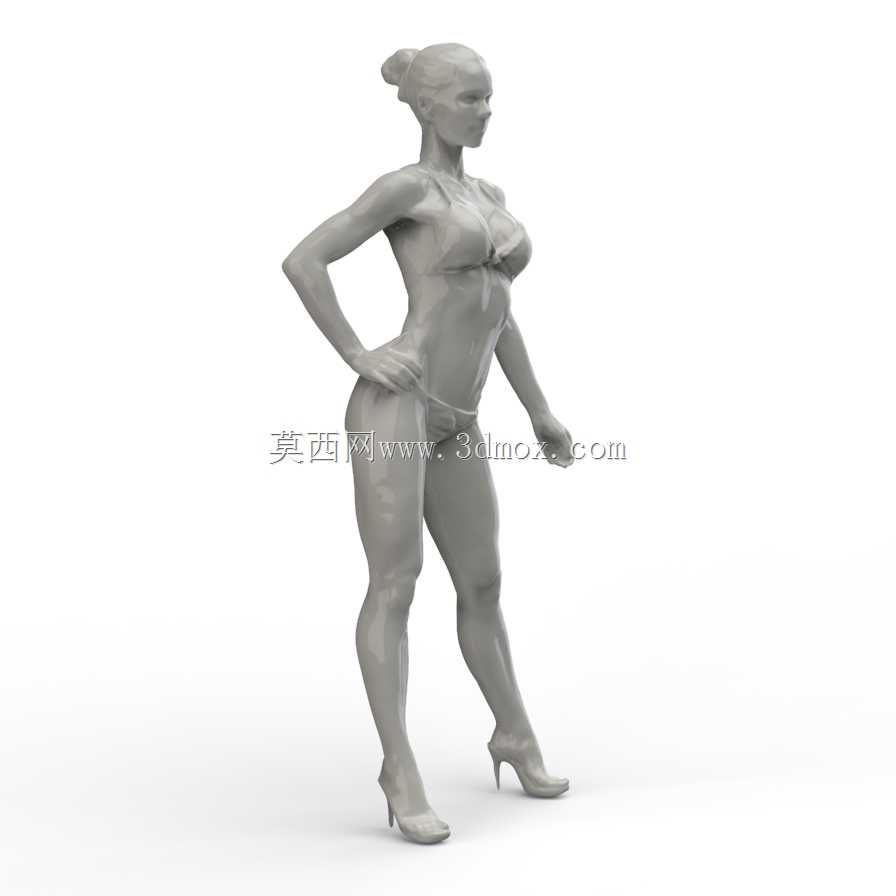 ��Ӧ��ģ��