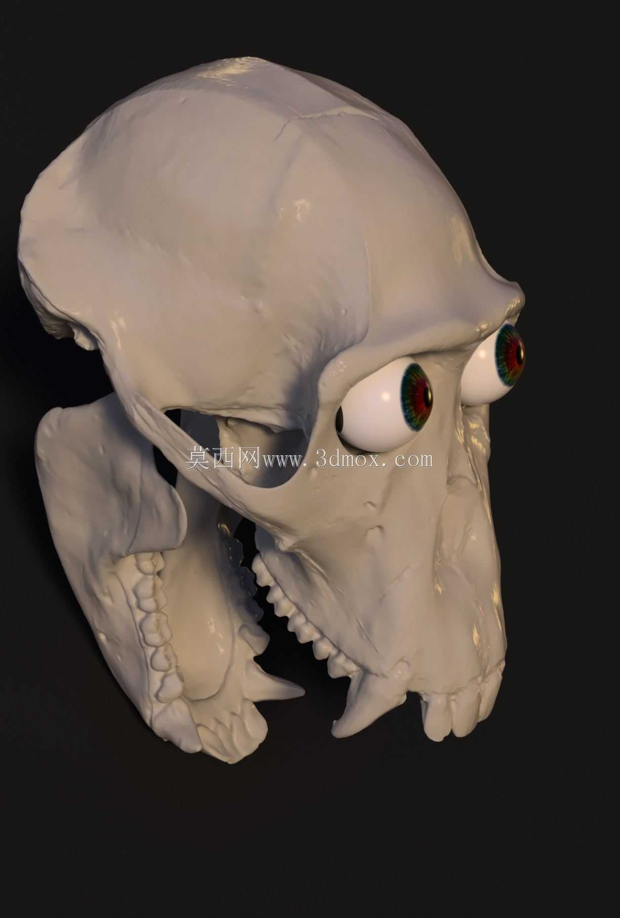 \���ҵ�\��ͷ�ǣ���
