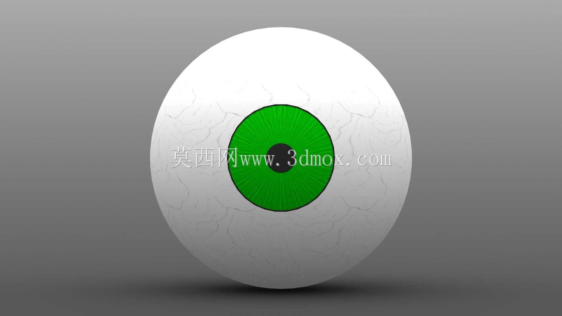 SolidWorks�۾�����