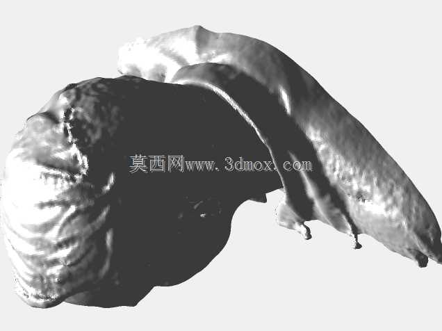 扫描胸像