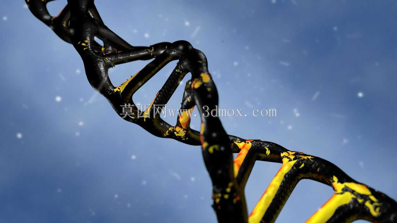 DNA