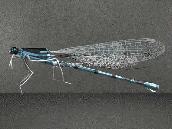 ��PARTsolutions�д�����Damseifly
